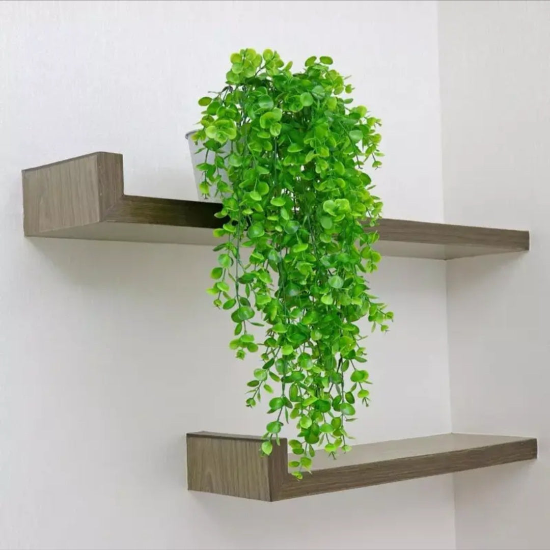 Planta Suspensa GreenLife™