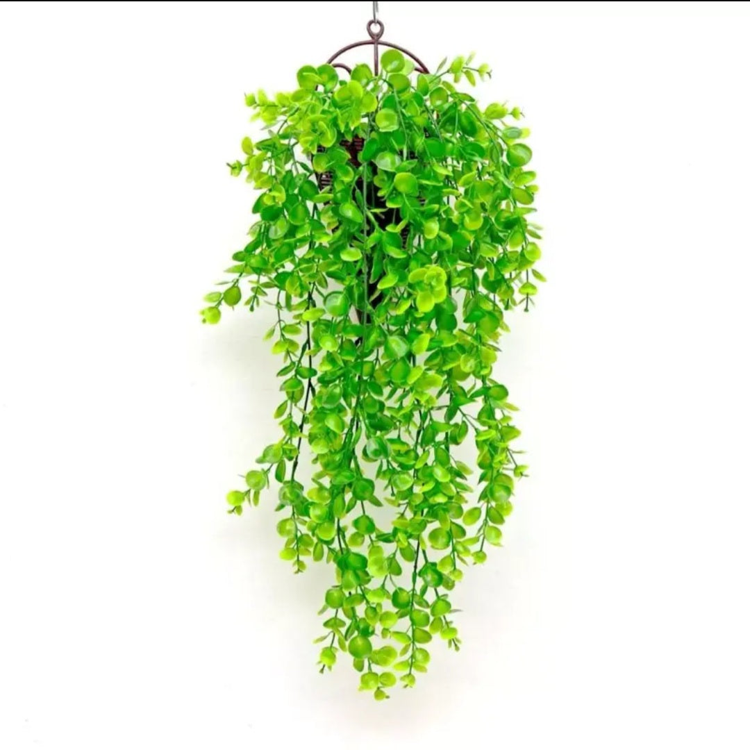 Planta Suspensa GreenLife™