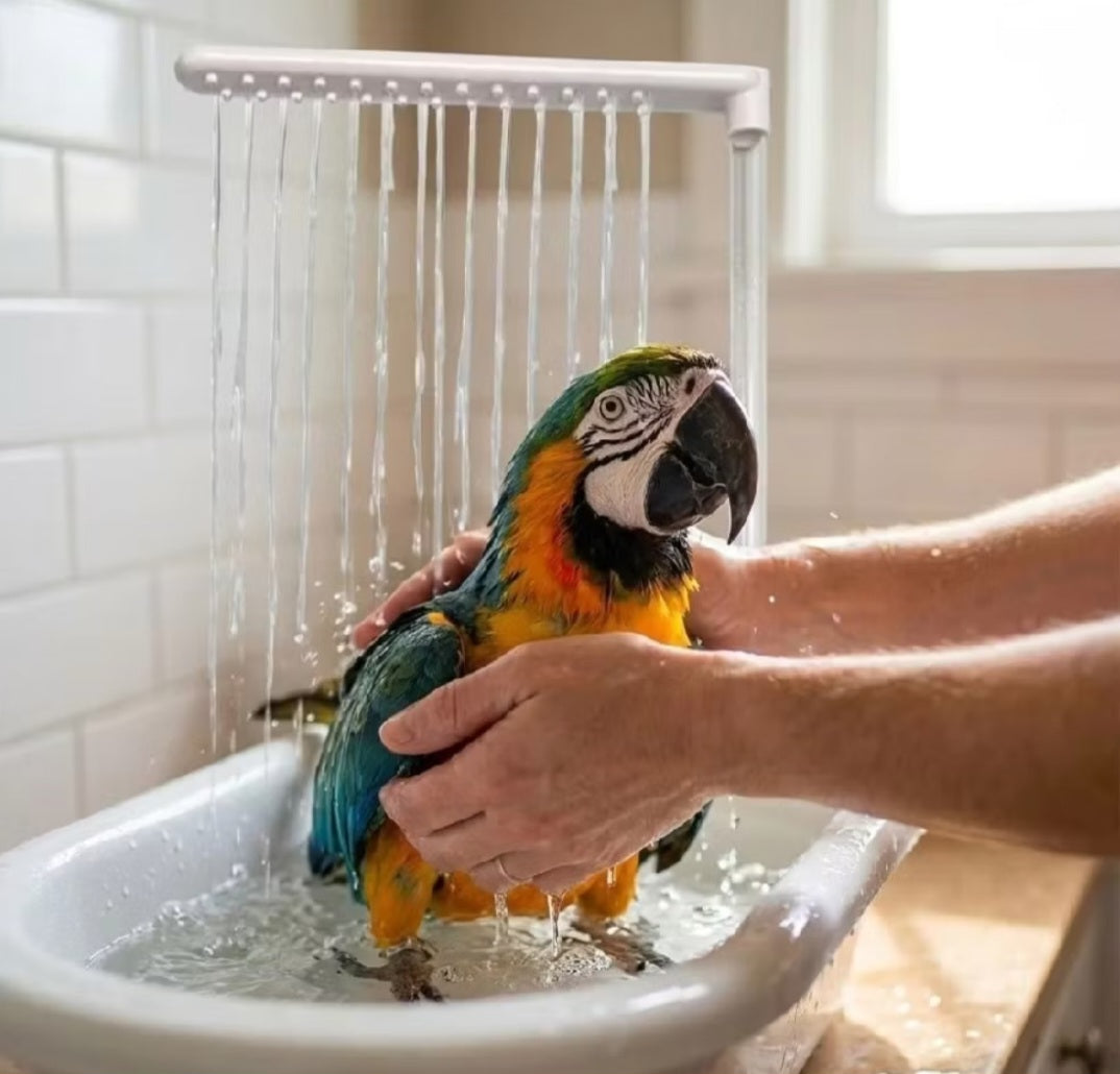 Bird Shower™ — Banheira Automática para Pássaros