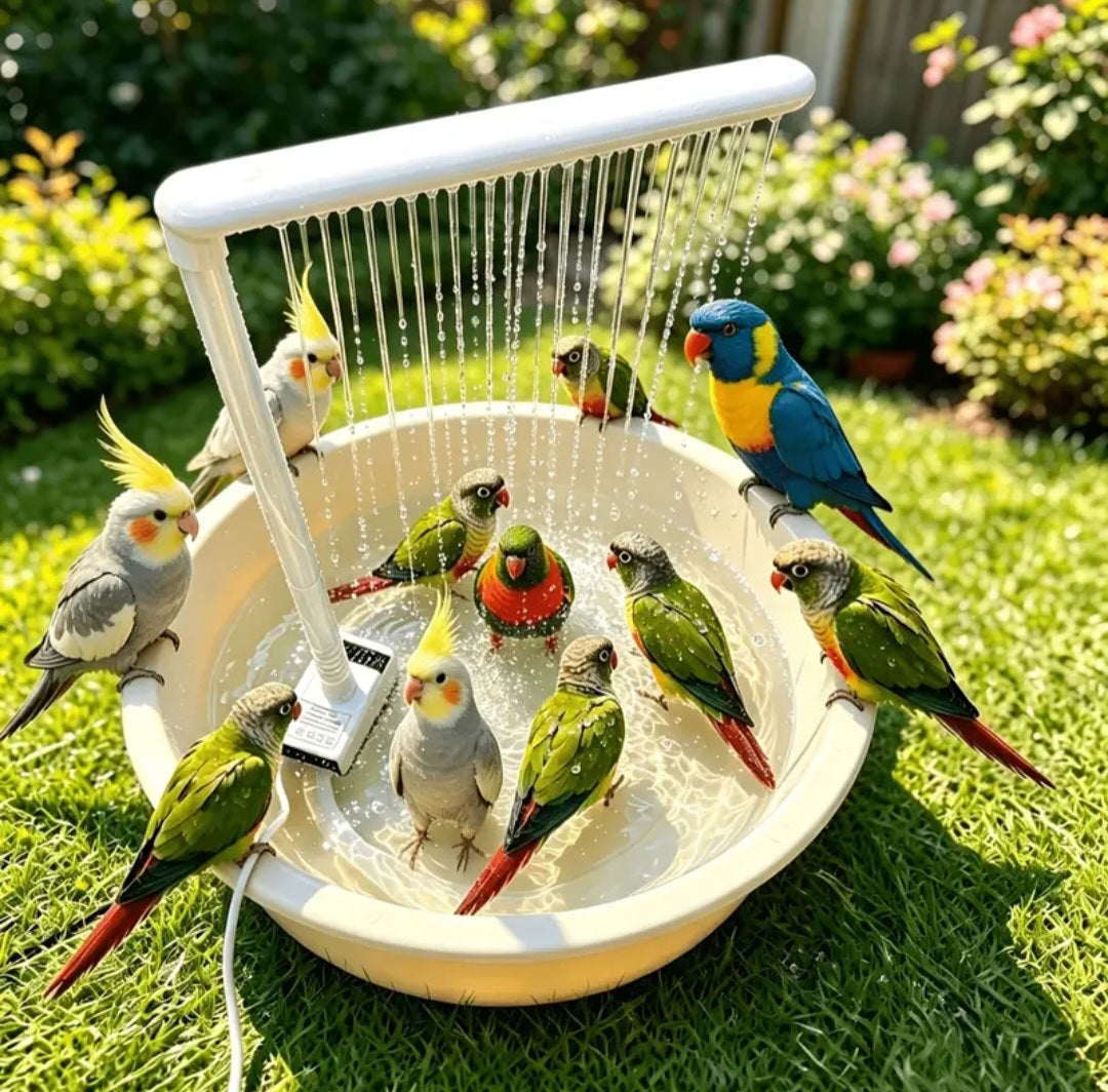 Bird Shower™ — Banheira Automática para Pássaros