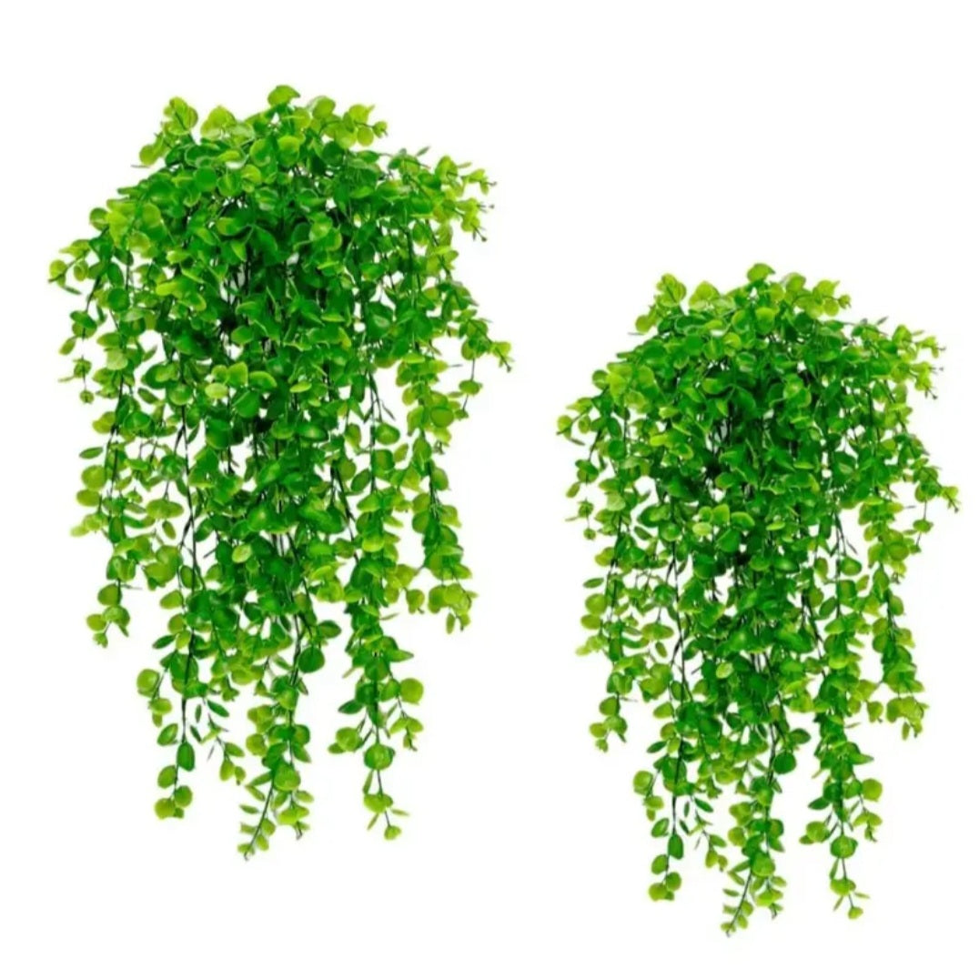 Planta Suspensa GreenLife™