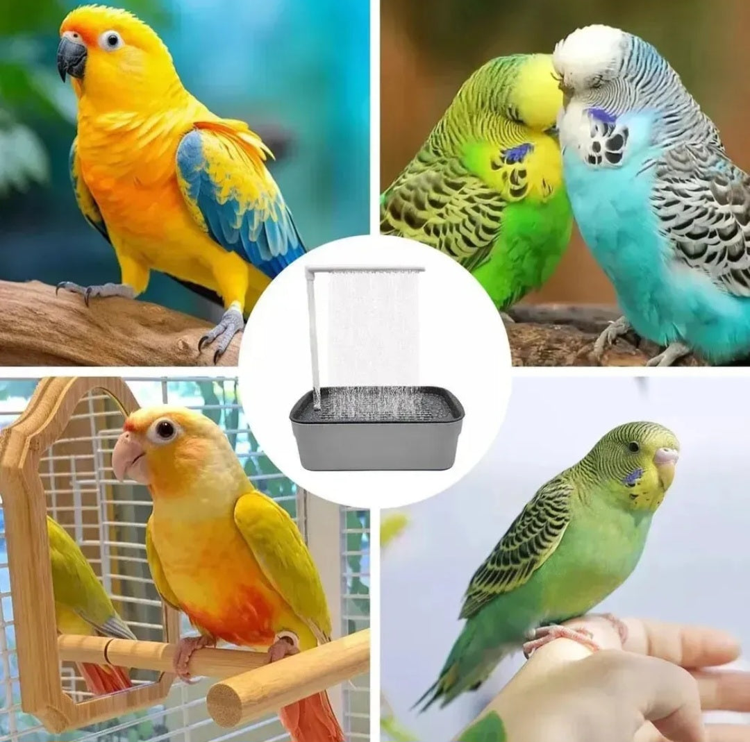 Bird Shower™ — Banheira Automática para Pássaros